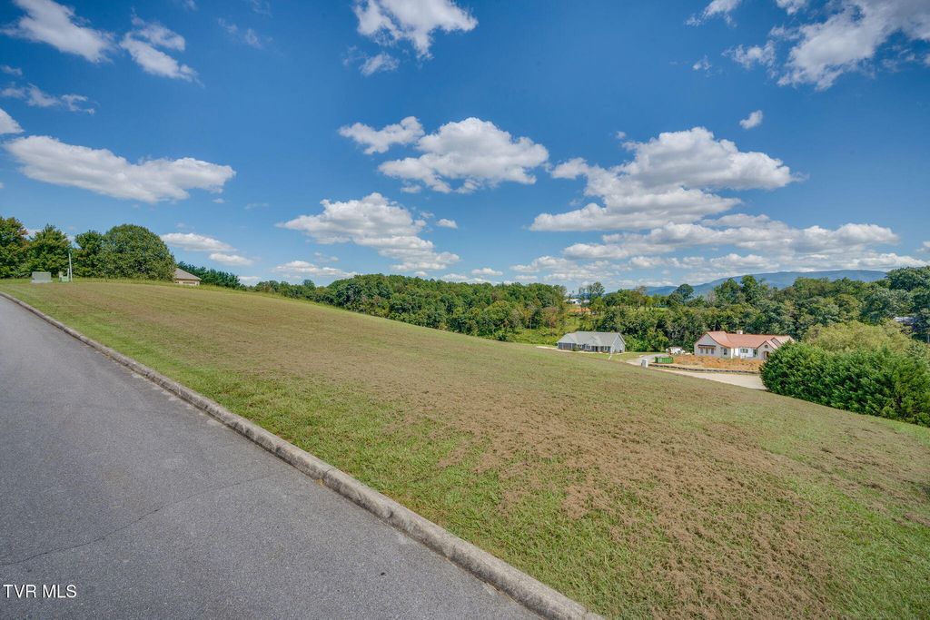 Photo of 43 Belle Arden Drive, Greeneville, TN 37745 (MLS # 9985091)