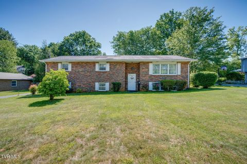 Photo of 1021 Somerset Drive, Johnson City, TN 37604 (MLS # 9995586)