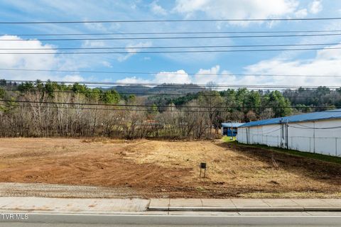 Vacant Land For Sale - 21 Shady Street<br/> Johnson County, Mountain City, TN 37683