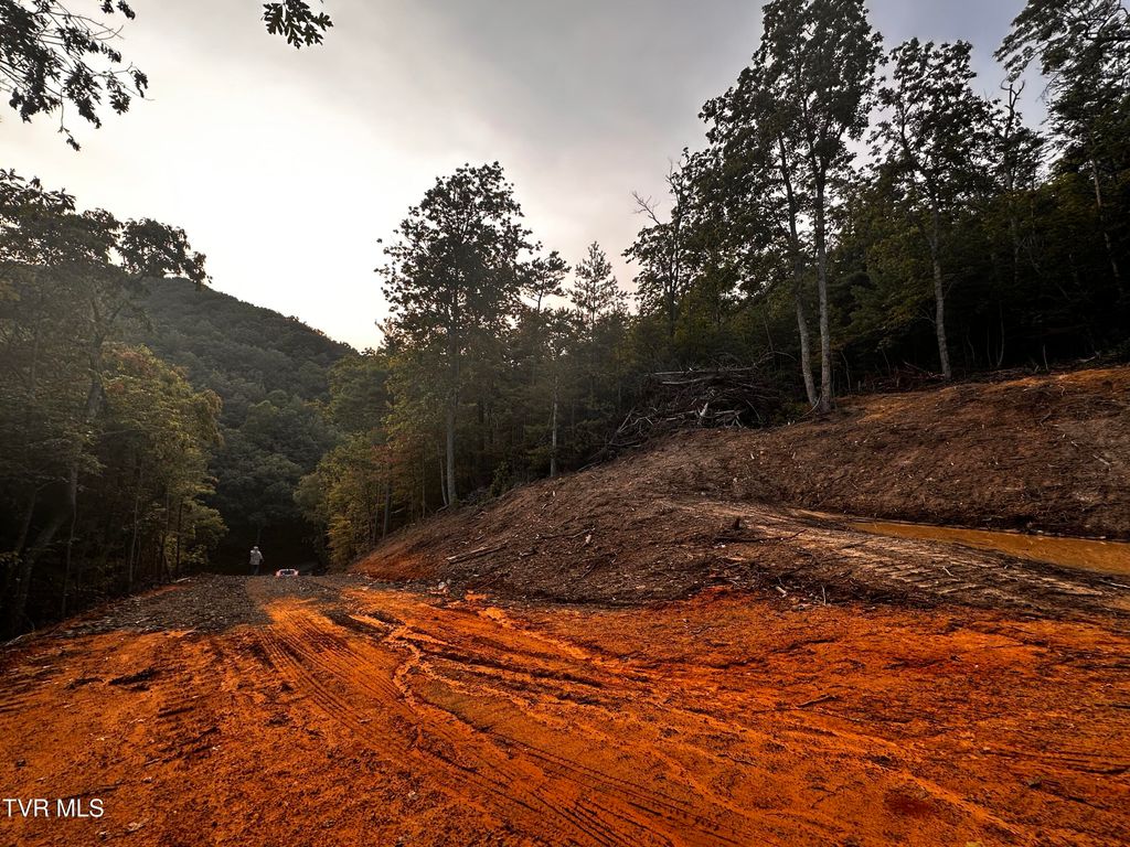 Photo of 1700 Kelley Gap Road, Greeneville, TN 37743 (MLS # 9985730)