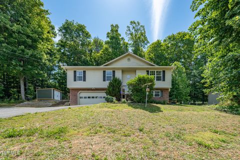 Photo of 317 Chestnut Grove Church Road, Jonesborough, TN 37659 (MLS # 9995675)