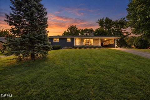 Photo of 202 Brown Avenue, Johnson City, TN 37601 (MLS # 10001115)