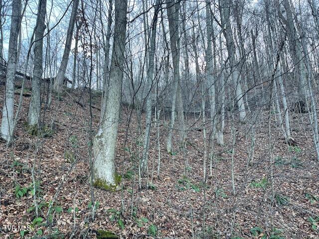 Lot 13 Eagle Ridge Road, Roan Mountain, Tennessee image 3