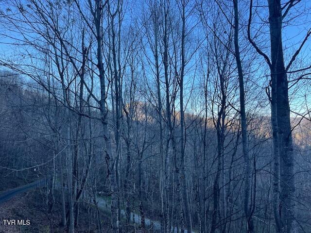 Lot 13 Eagle Ridge Road, Roan Mountain, Tennessee image 10