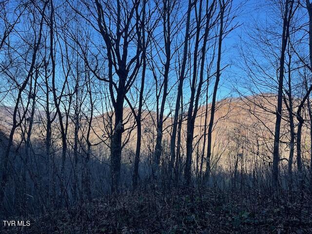 Lot 13 Eagle Ridge Road, Roan Mountain, Tennessee image 1
