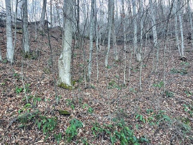 Lot 13 Eagle Ridge Road, Roan Mountain, Tennessee image 12