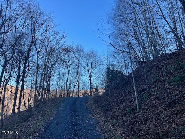 Lot 13 Eagle Ridge Road, Roan Mountain, Tennessee image 4