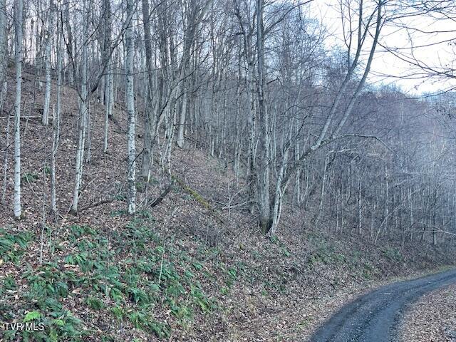 Lot 13 Eagle Ridge Road, Roan Mountain, Tennessee image 11