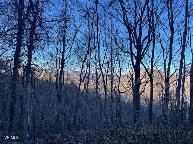 Lot 13 Eagle Ridge Road, Roan Mountain, Tennessee image 13