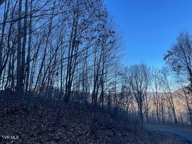 Lot 13 Eagle Ridge Road, Roan Mountain, Tennessee image 16