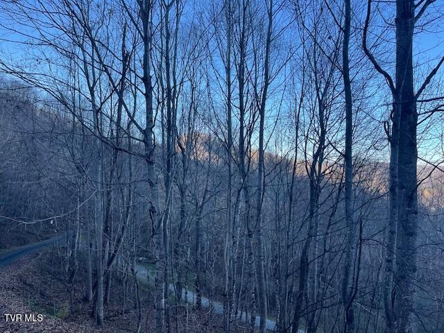 Lot 13 Eagle Ridge Road, Roan Mountain, Tennessee image 8
