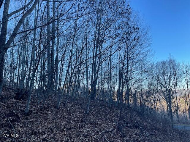 Lot 13 Eagle Ridge Road, Roan Mountain, Tennessee image 15