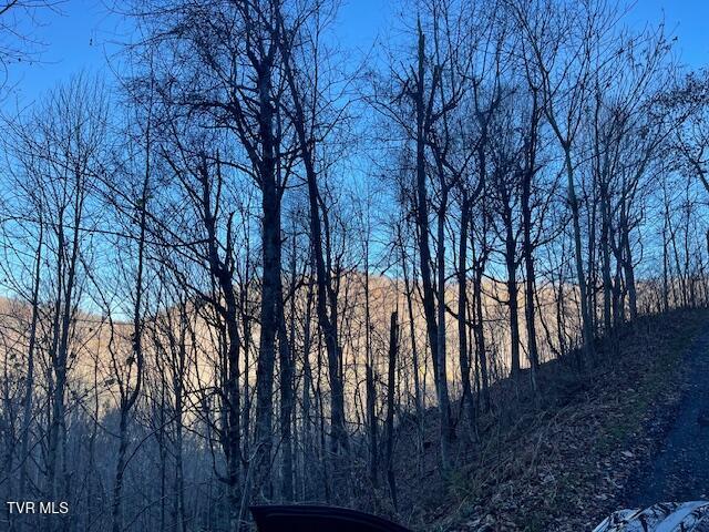 Lot 13 Eagle Ridge Road, Roan Mountain, Tennessee image 6