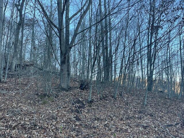 Lot 13 Eagle Ridge Road, Roan Mountain, Tennessee image 14