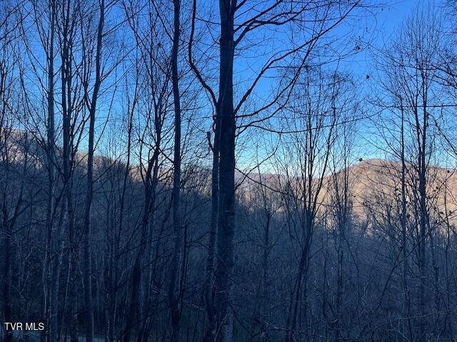 Lot 13 Eagle Ridge Road, Roan Mountain, Tennessee image 7