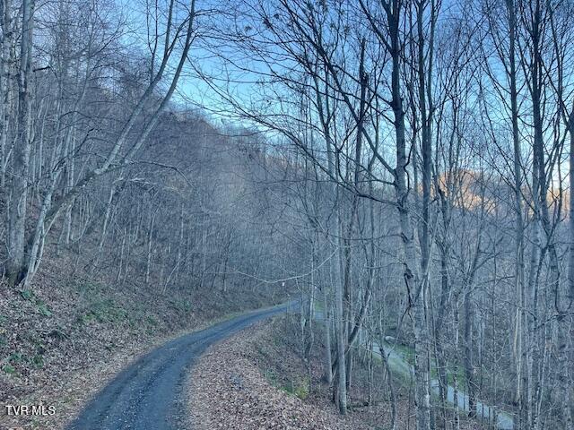 Lot 13 Eagle Ridge Road, Roan Mountain, Tennessee image 9