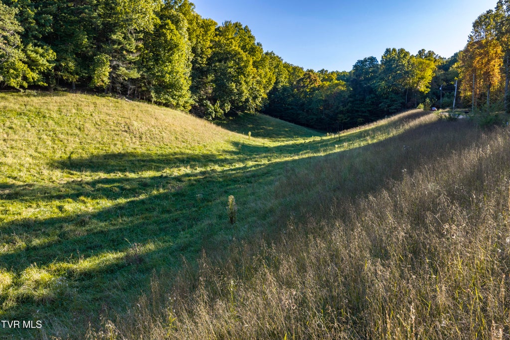 Photo of 1544 Whispering Pines Road, Johnson City, TN 37601 (MLS # 10001791)