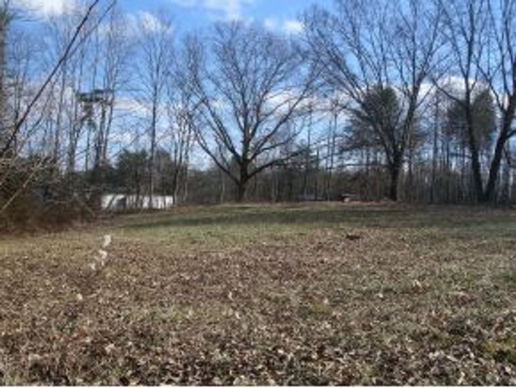 Photo of 2223 Spring Valley Circle, Gate City, VA 24251 (MLS # 9989825)