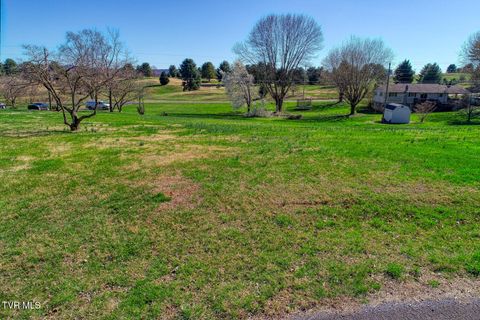 Vacant Land For Sale - LOT 50 Par 3 Circle<br/> Rogersville, TN 37857