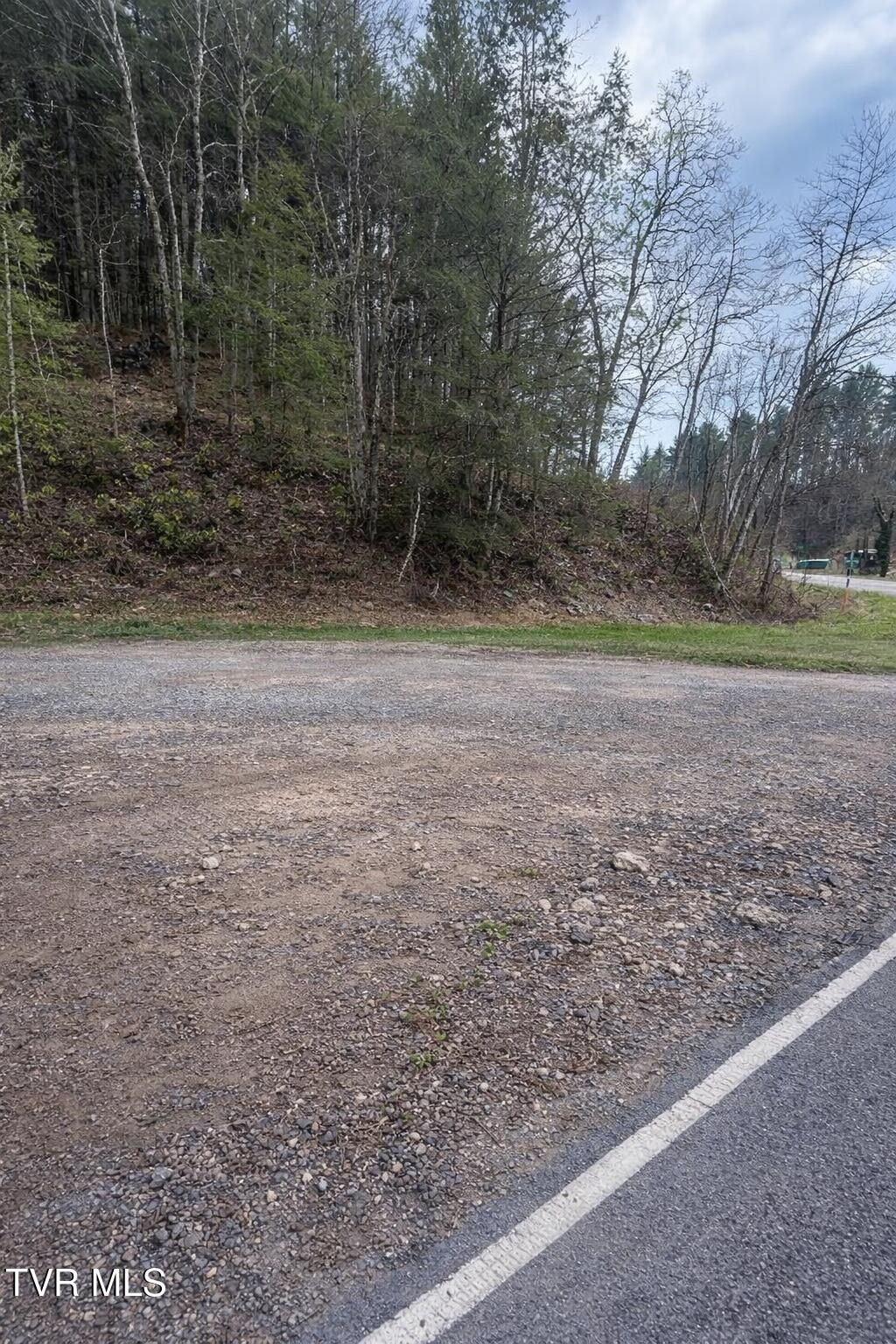 Photo of 0 Konnarock Rd Road, Damascus, VA 24236 (MLS # 9992923)