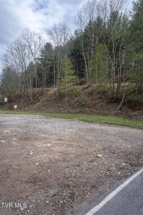 Vacant Land For Sale - Konnarock Rd Road<br/> Damascus, VA 24236