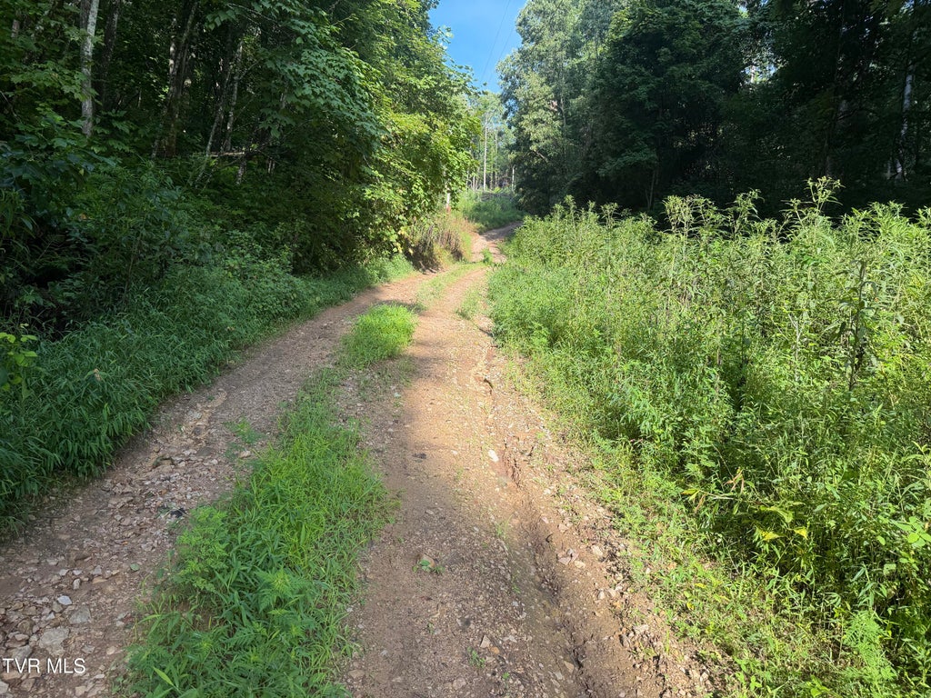 Photo of 00 Of Williams Lane, Butler, TN 37640 (MLS # 9999069)