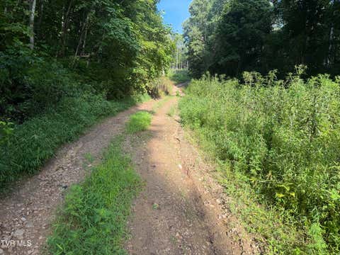 Vacant Land For Sale - 00 Of Williams Lane<br/> Butler, TN 37640