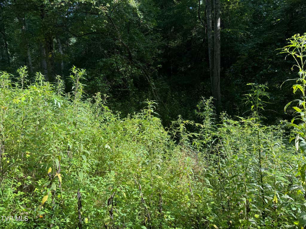 Photo of 00 Of Williams Lane, Butler, TN 37640 (MLS # 9999069)