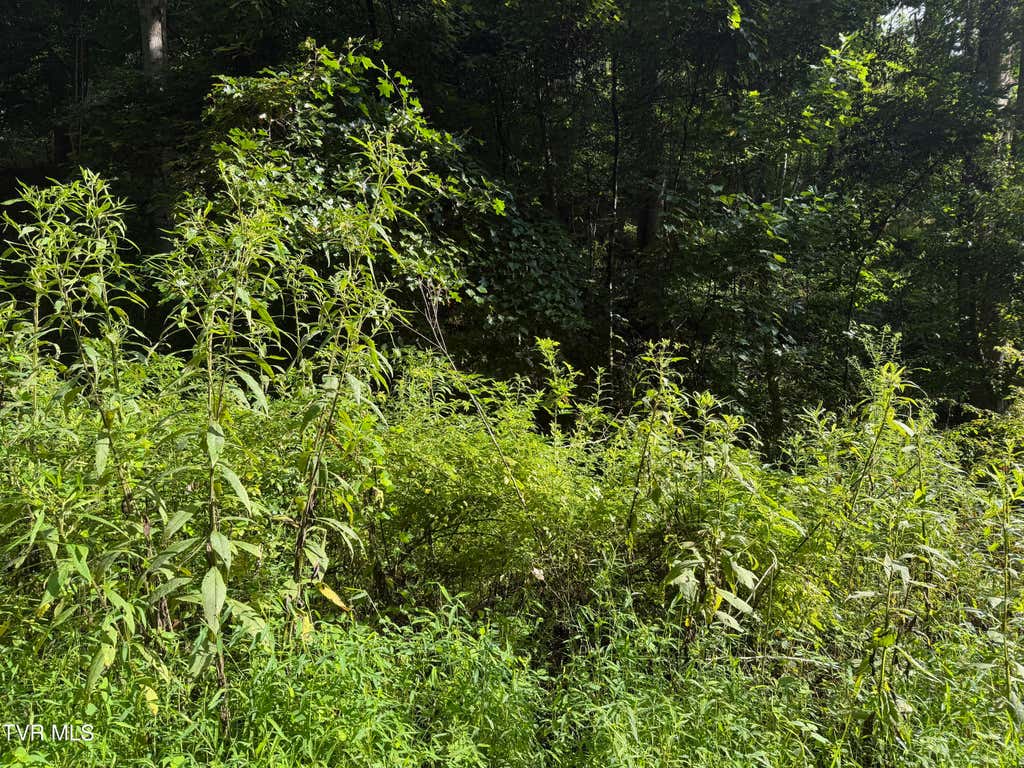 Photo of 00 Of Williams Lane, Butler, TN 37640 (MLS # 9999069)
