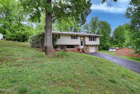 Photo of 111 Independence Lane, Elizabethton, TN 37643 (MLS # 9995120)