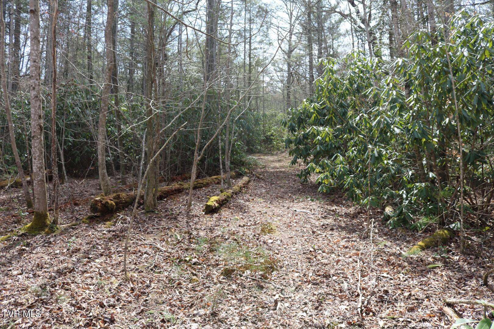 526 Eads Lane, Chuckey, Tennessee image 2