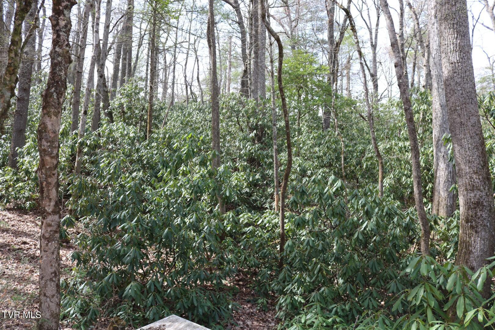 526 Eads Lane, Chuckey, Tennessee image 16