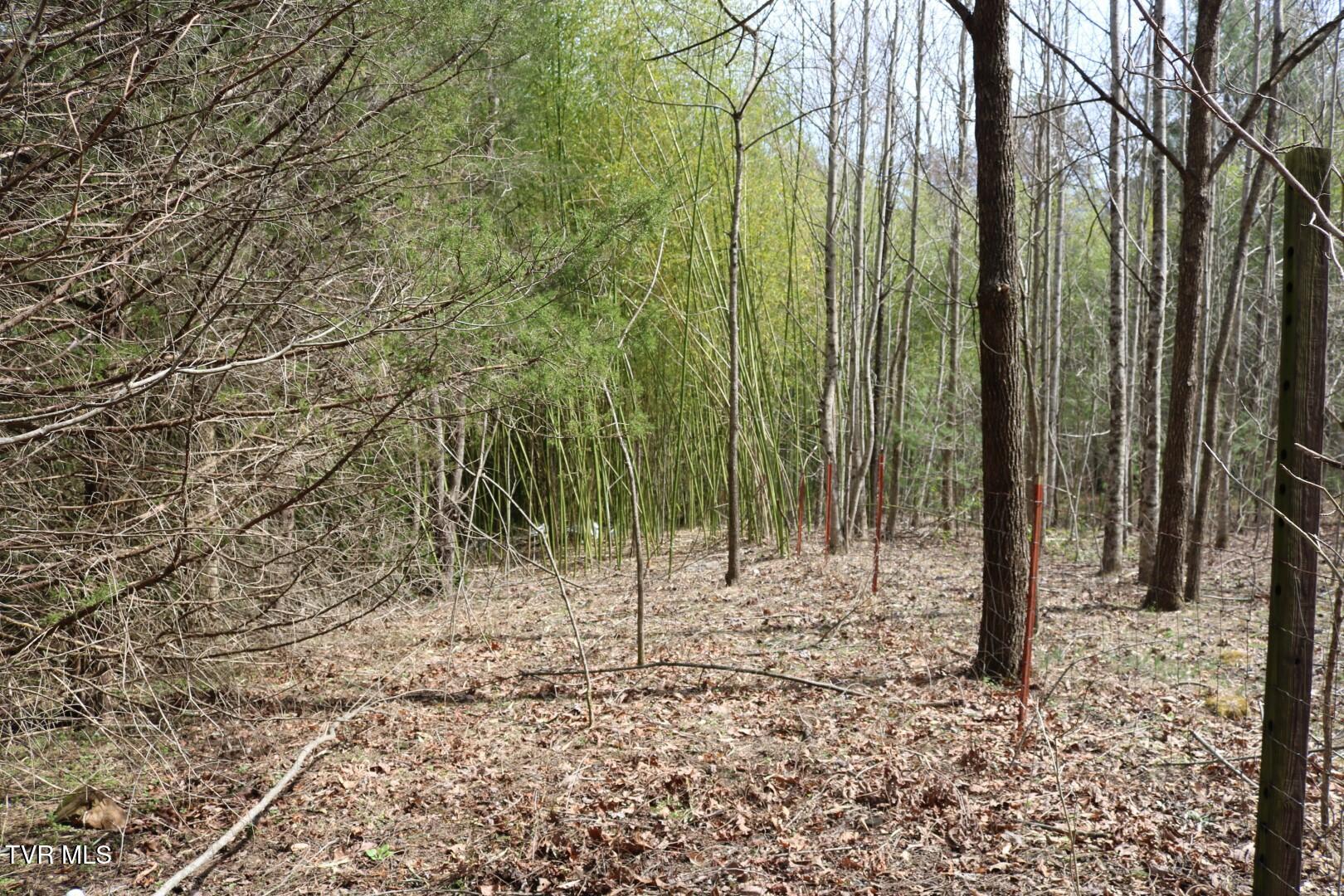526 Eads Lane, Chuckey, Tennessee image 15