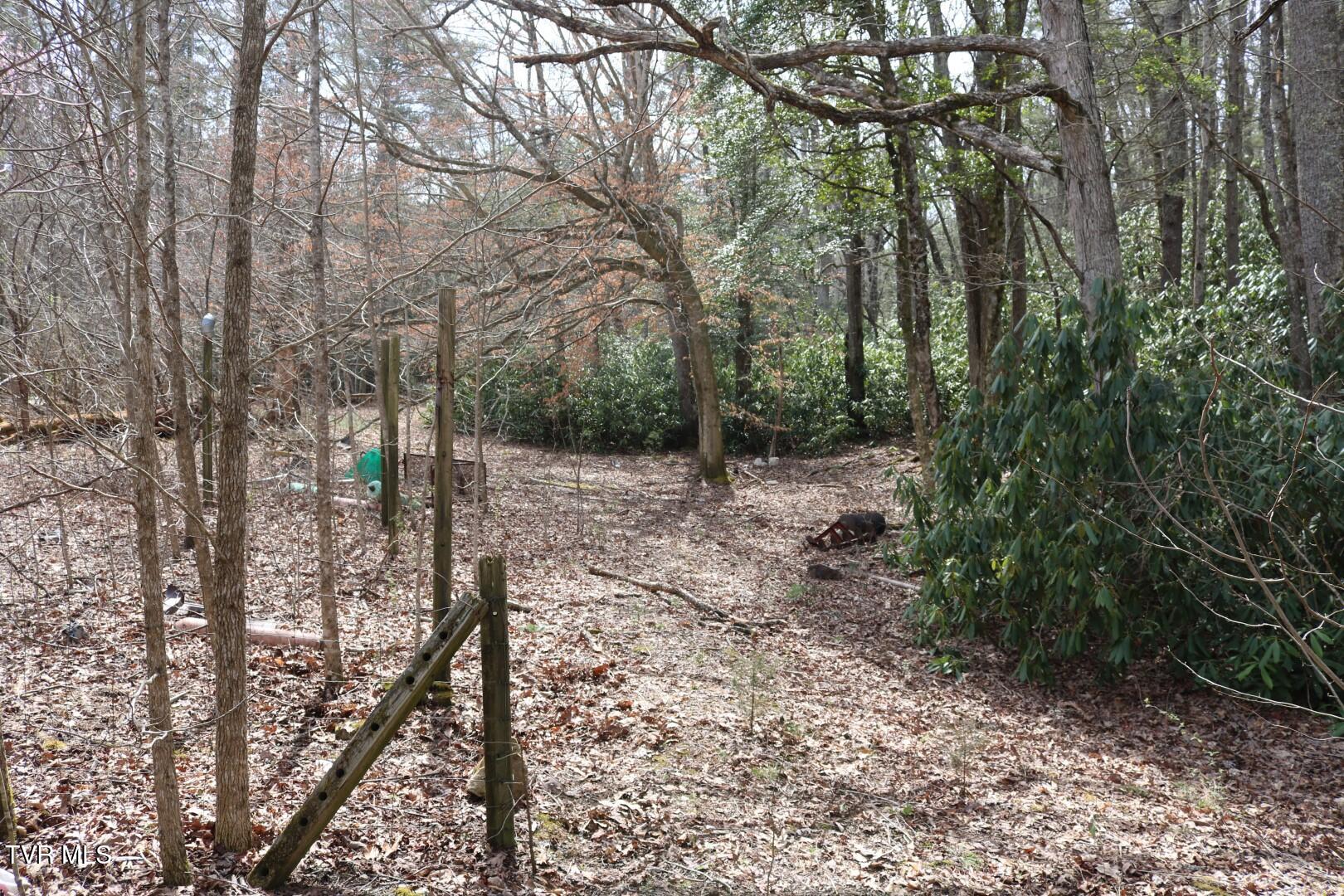 526 Eads Lane, Chuckey, Tennessee image 13