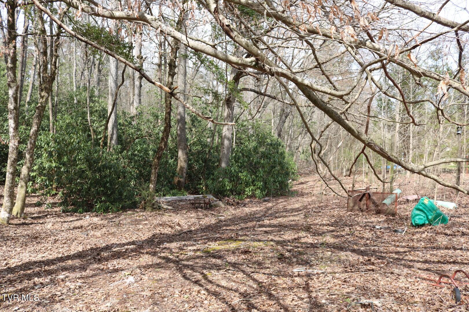 526 Eads Lane, Chuckey, Tennessee image 4