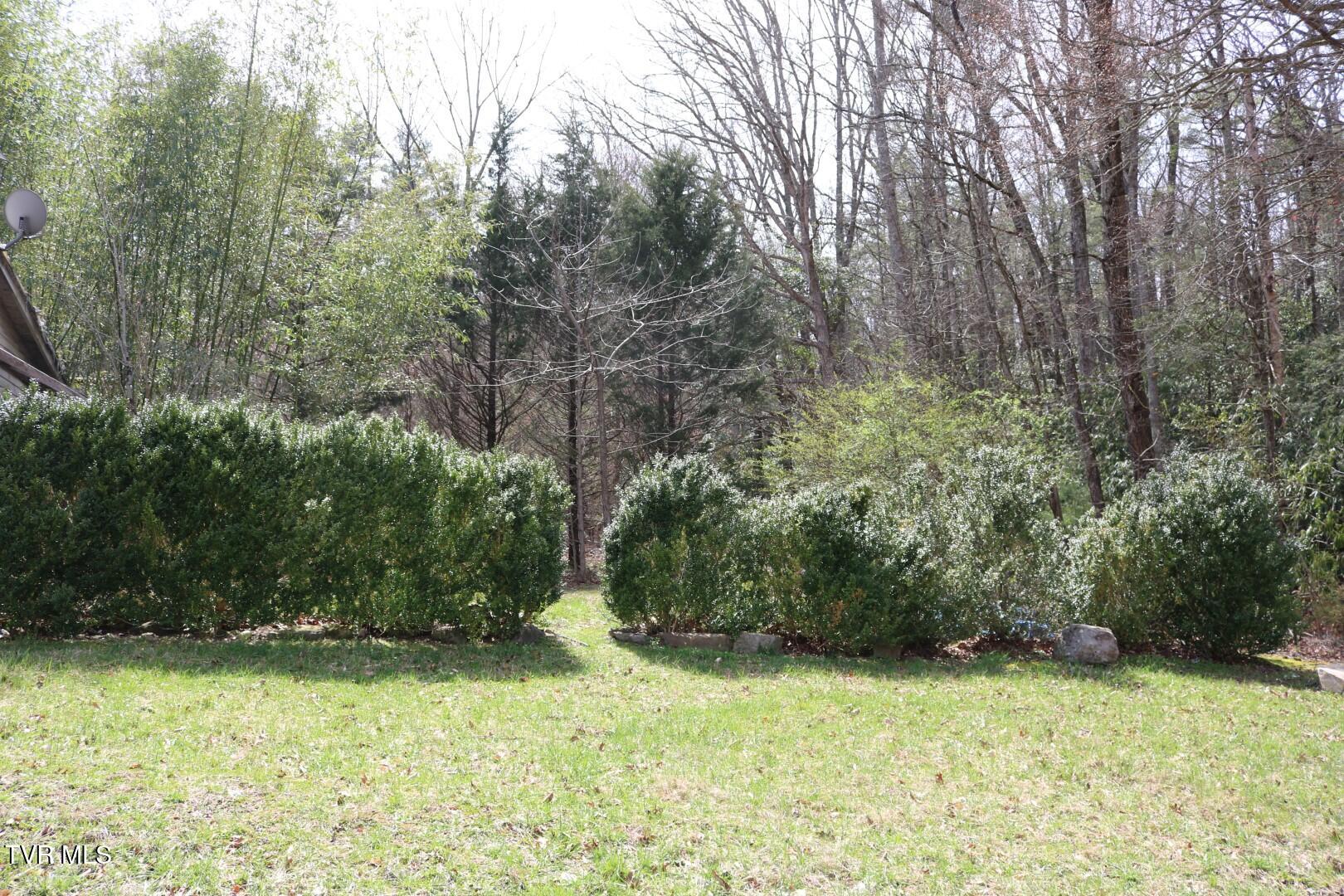 526 Eads Lane, Chuckey, Tennessee image 21