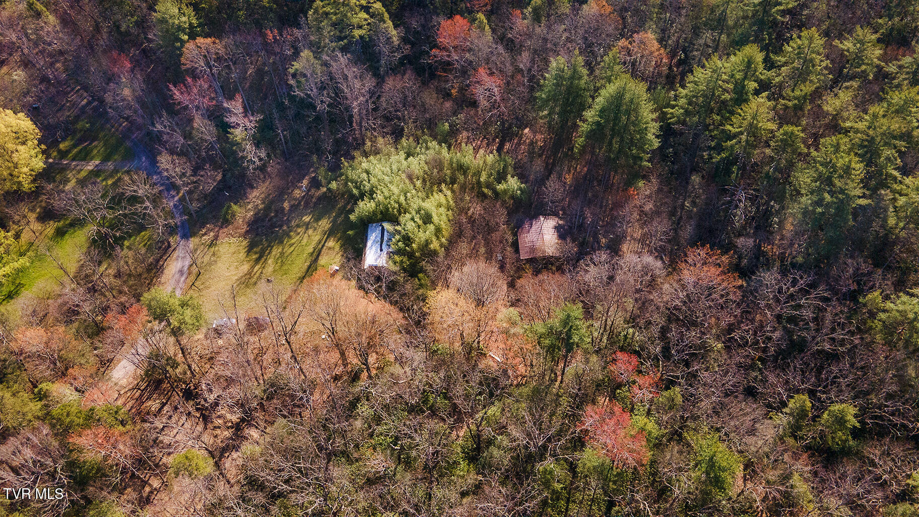526 Eads Lane, Chuckey, Tennessee image 23