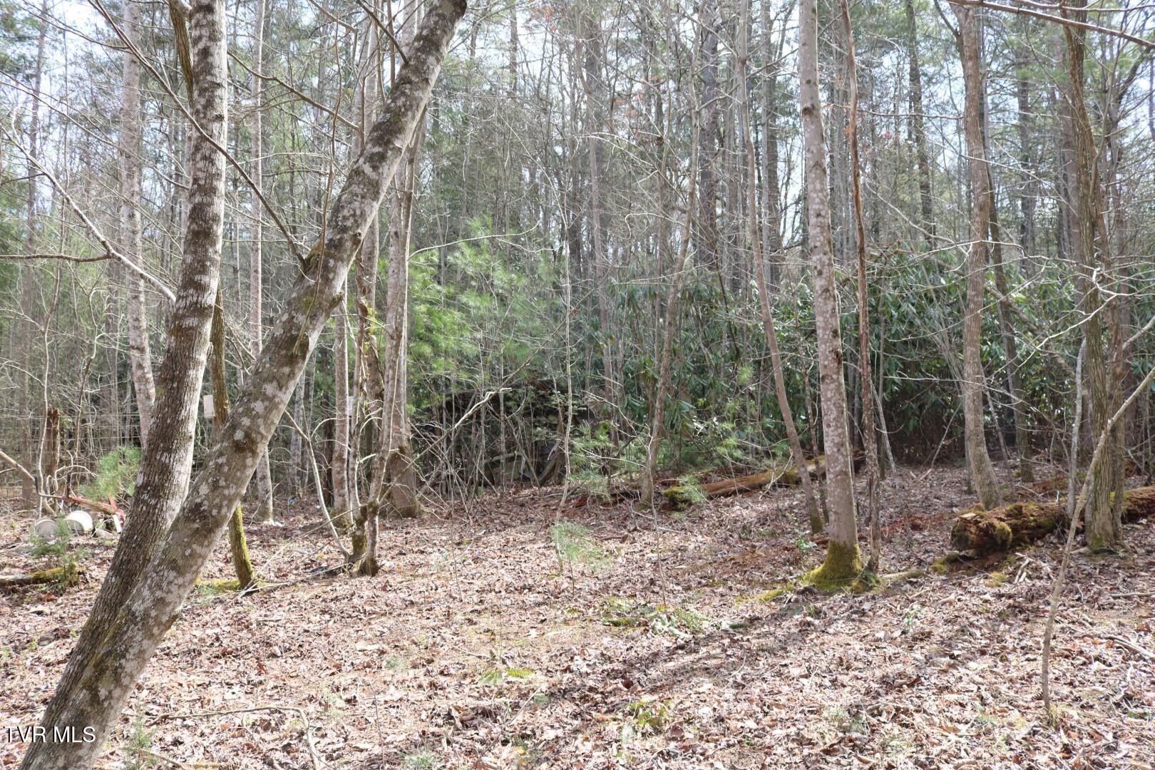 526 Eads Lane, Chuckey, Tennessee image 18