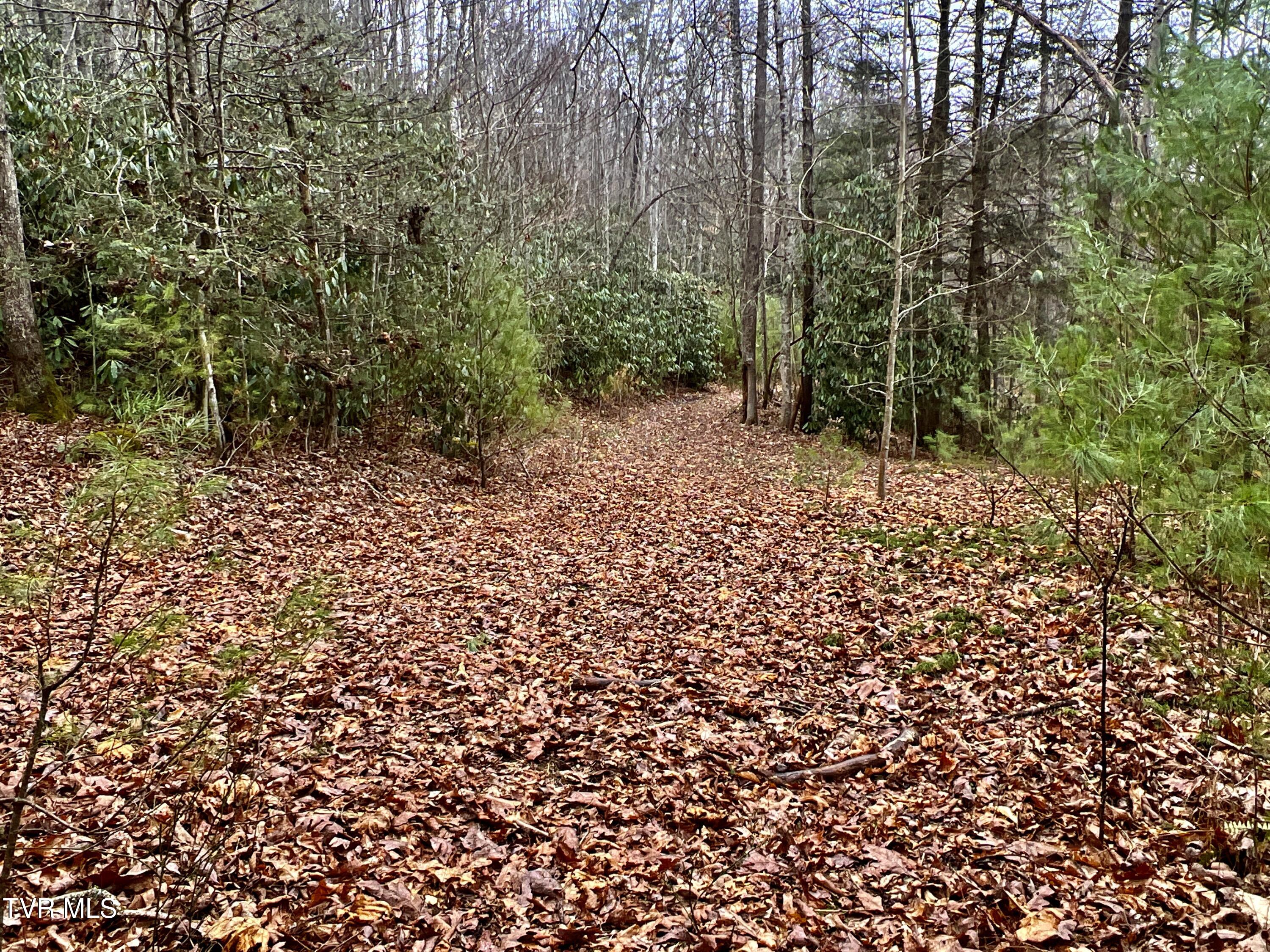 104ac Tbd Fire Tower Road, Mountain City, Tennessee image 44