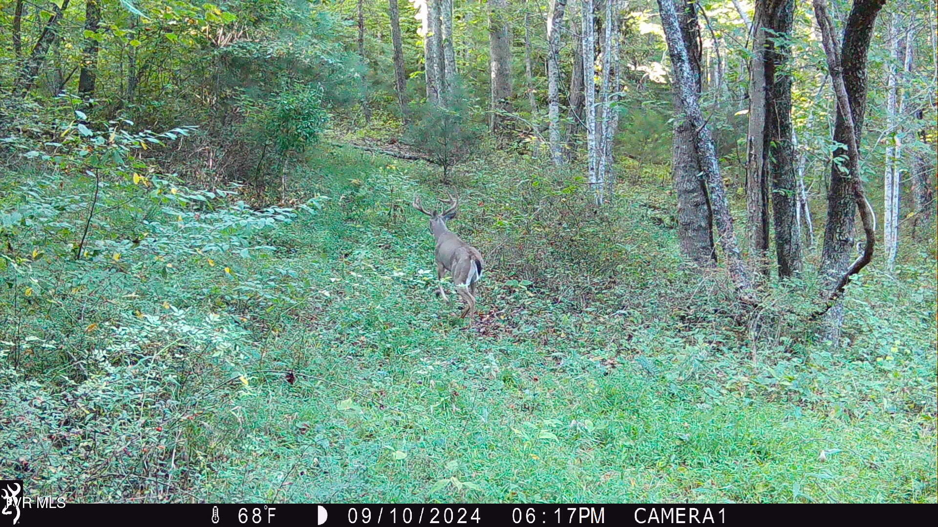 104ac Tbd Fire Tower Road, Mountain City, Tennessee image 31