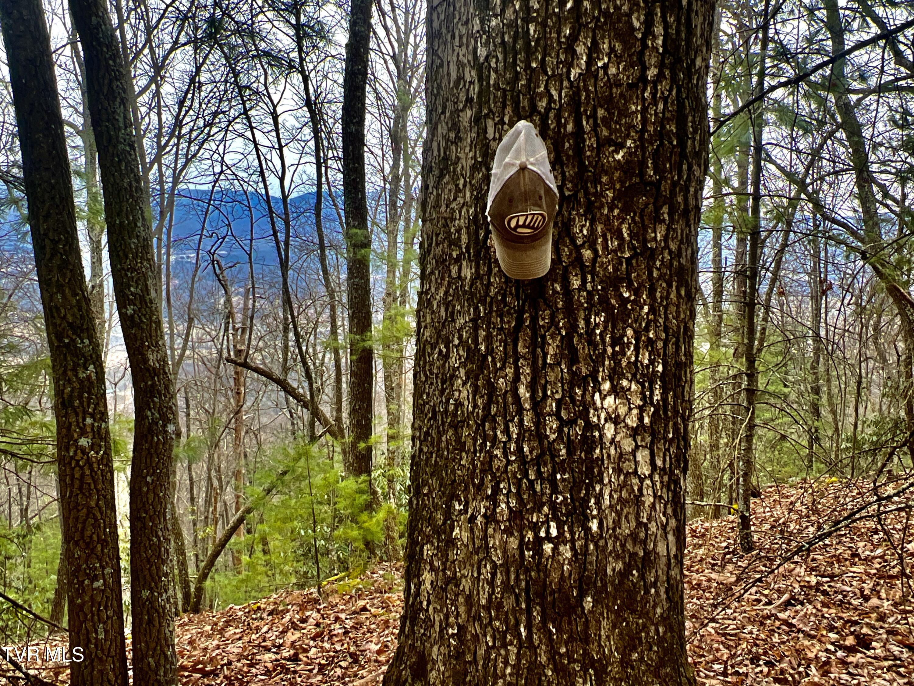 104ac Tbd Fire Tower Road, Mountain City, Tennessee image 50
