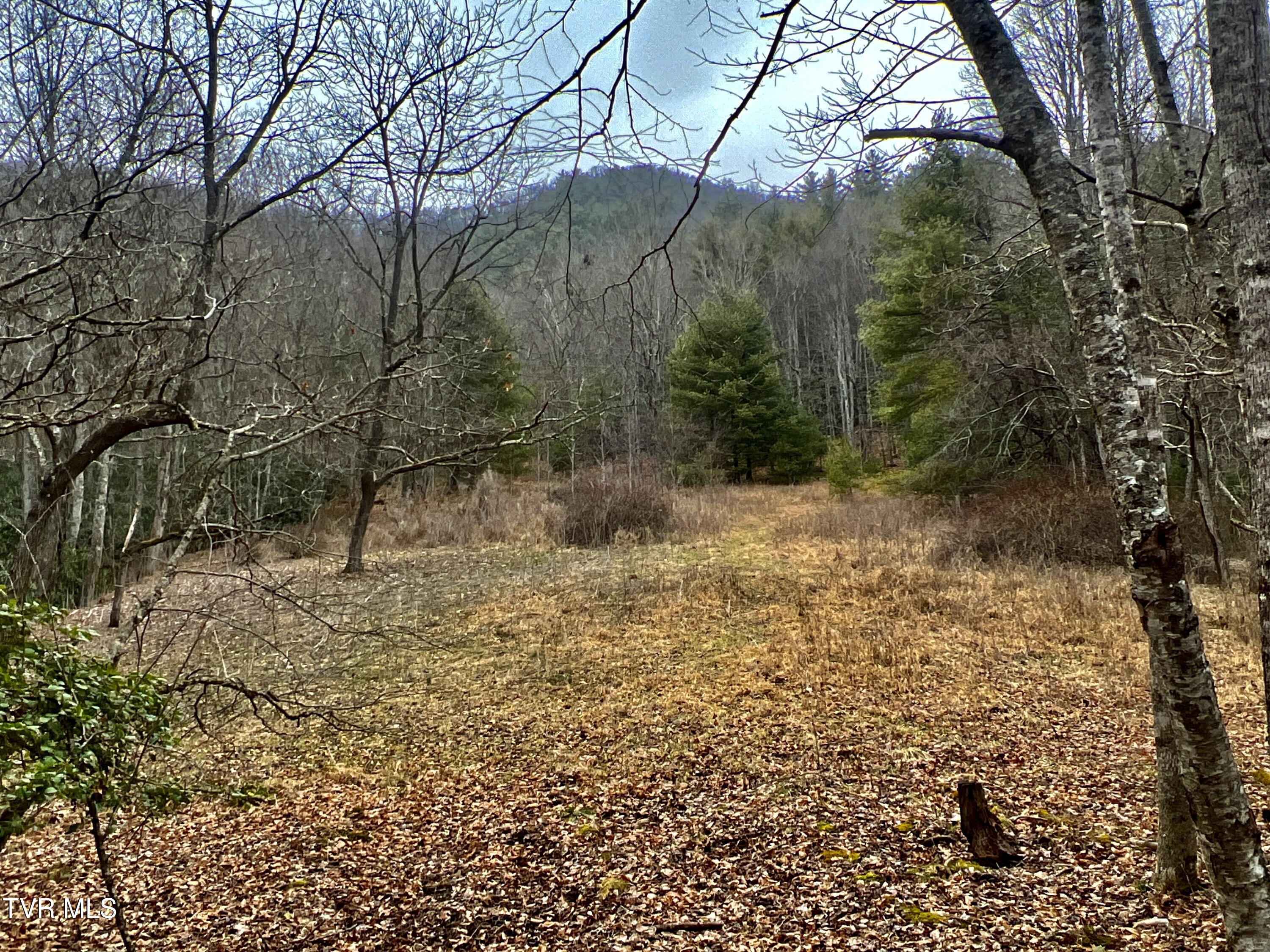 104ac Tbd Fire Tower Road, Mountain City, Tennessee image 36