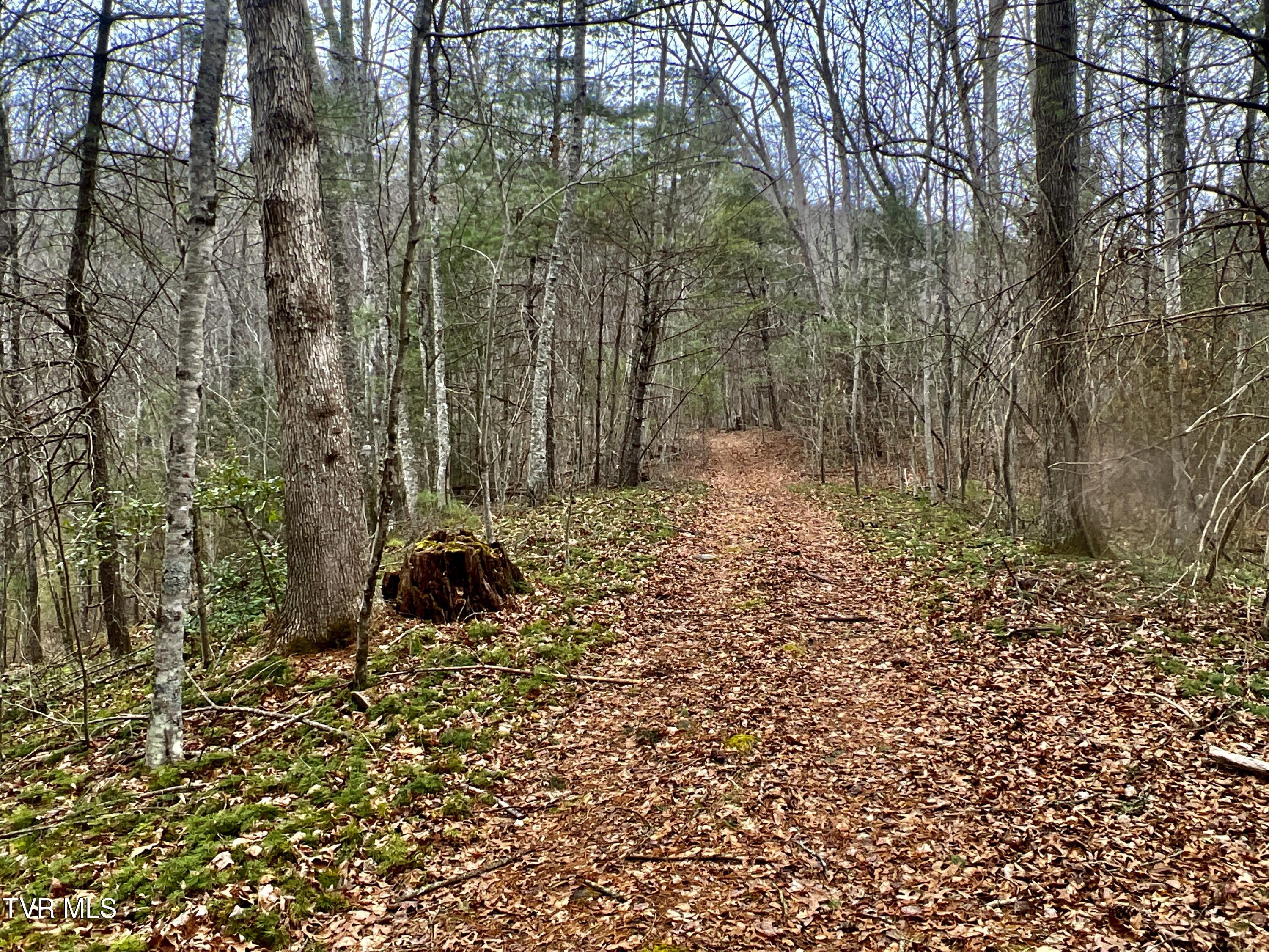 104ac Tbd Fire Tower Road, Mountain City, Tennessee image 49