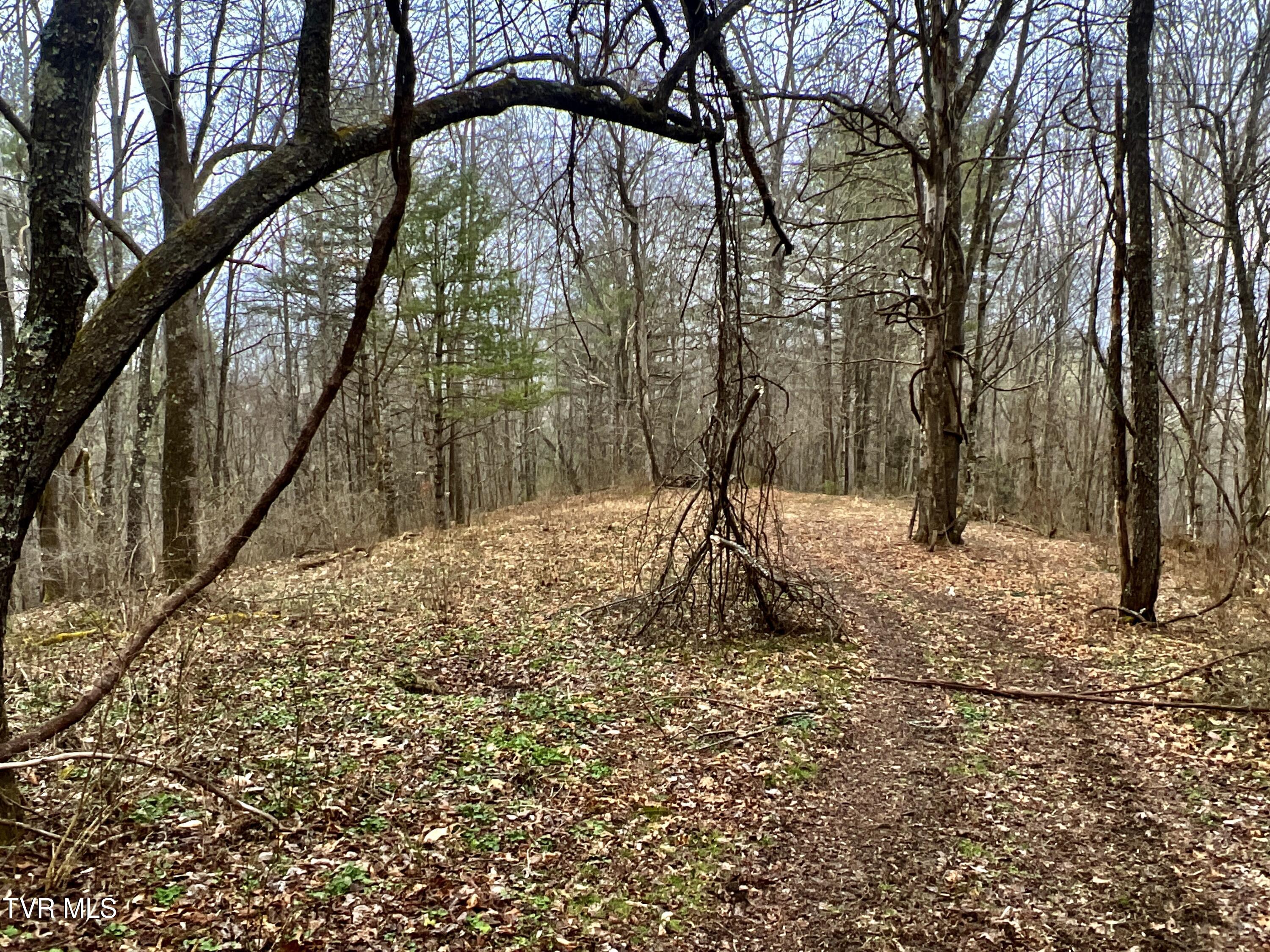 104ac Tbd Fire Tower Road, Mountain City, Tennessee image 37