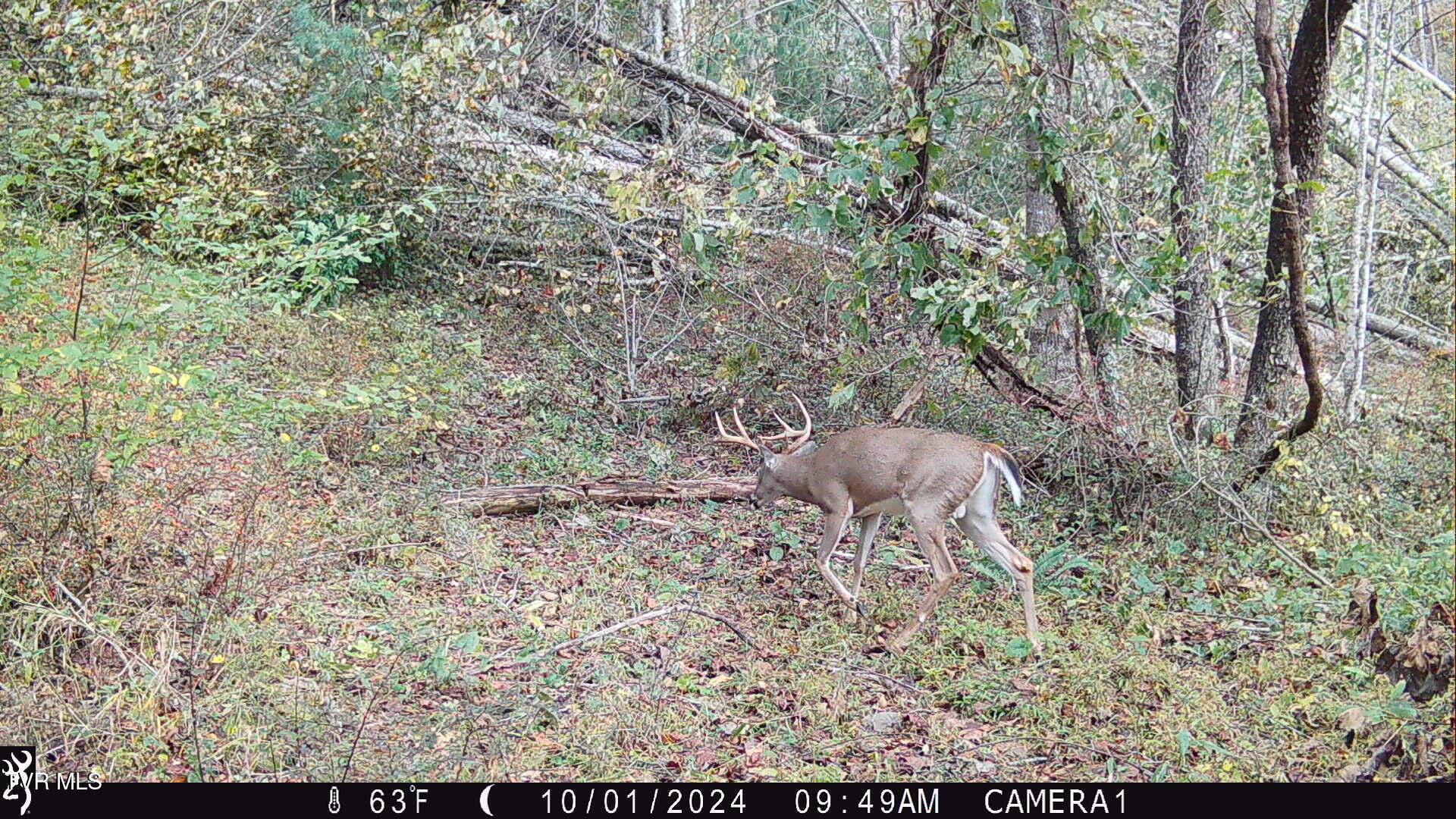 104ac Tbd Fire Tower Road, Mountain City, Tennessee image 26