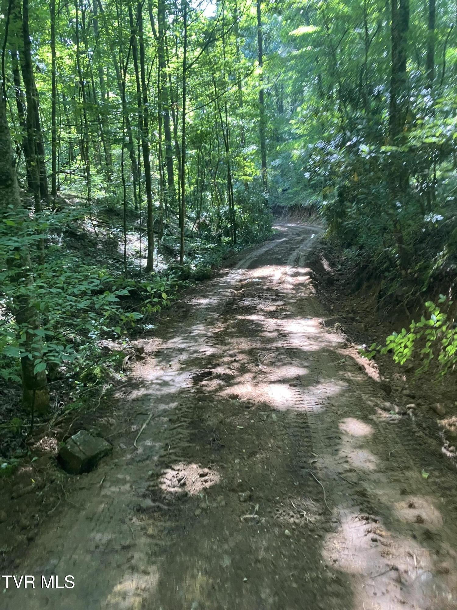 104ac Tbd Fire Tower Road, Mountain City, Tennessee image 12