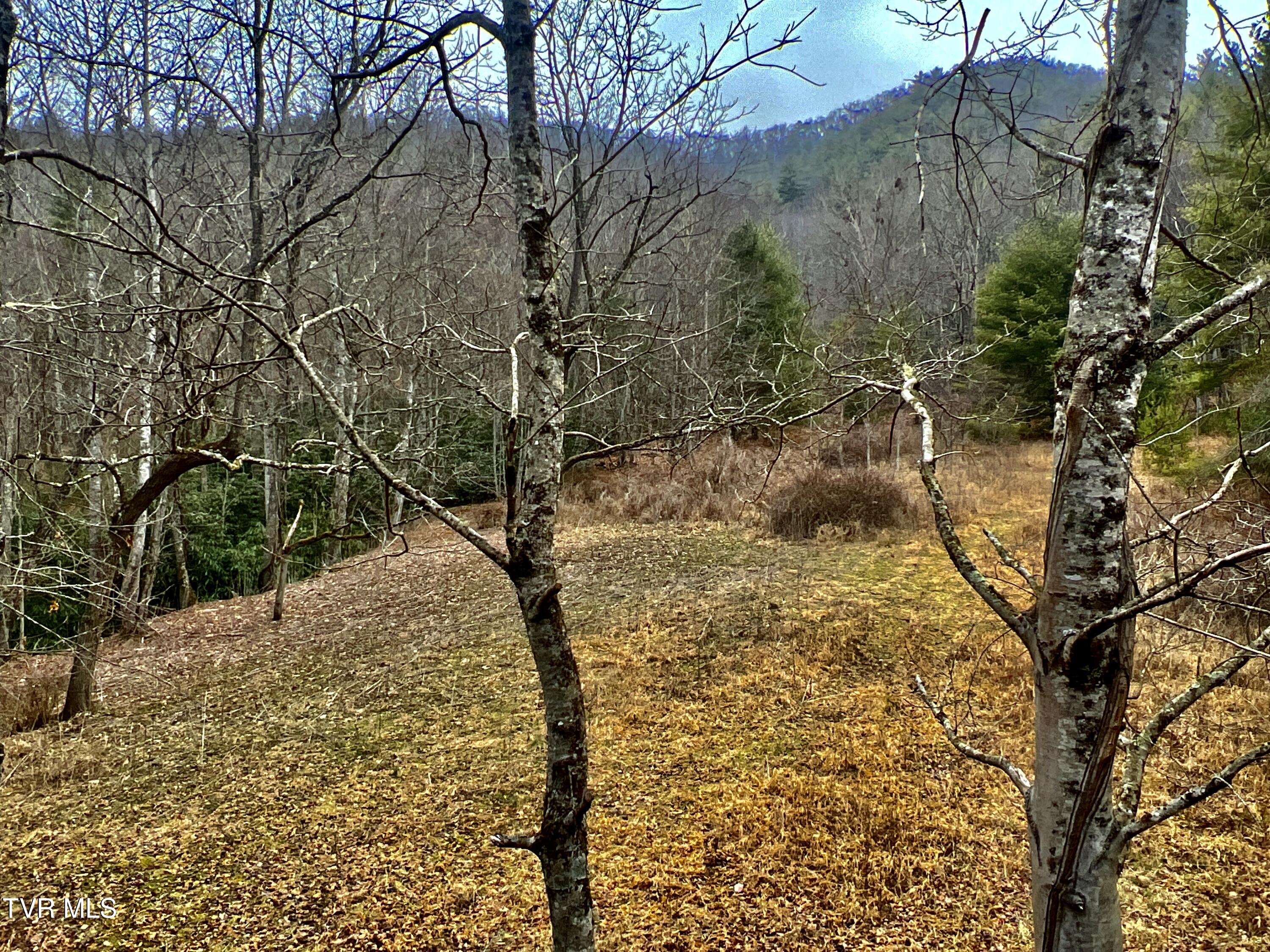 104ac Tbd Fire Tower Road, Mountain City, Tennessee image 39