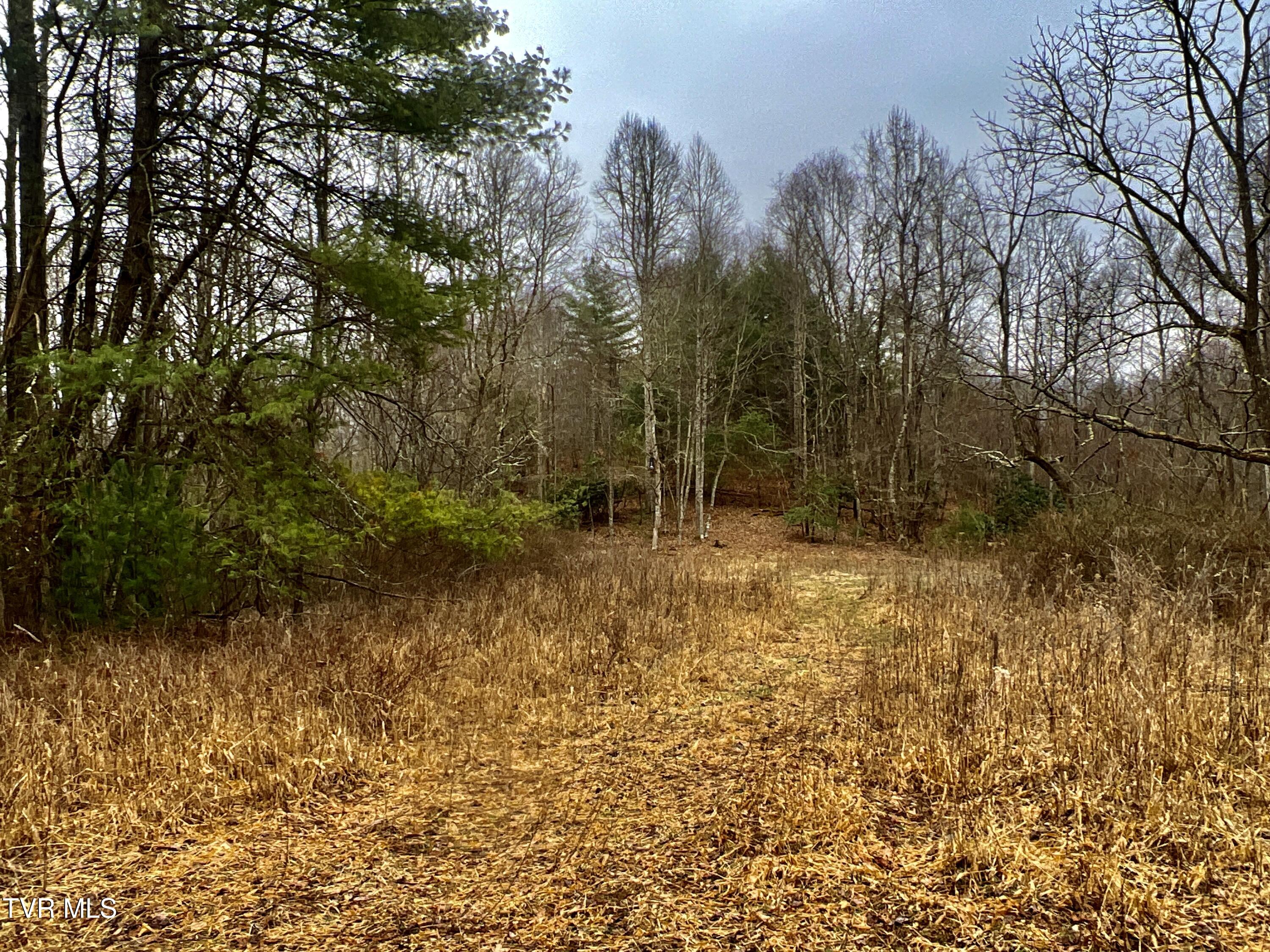 104ac Tbd Fire Tower Road, Mountain City, Tennessee image 38