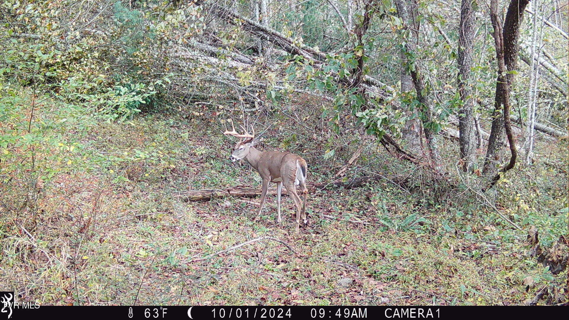 104ac Tbd Fire Tower Road, Mountain City, Tennessee image 28