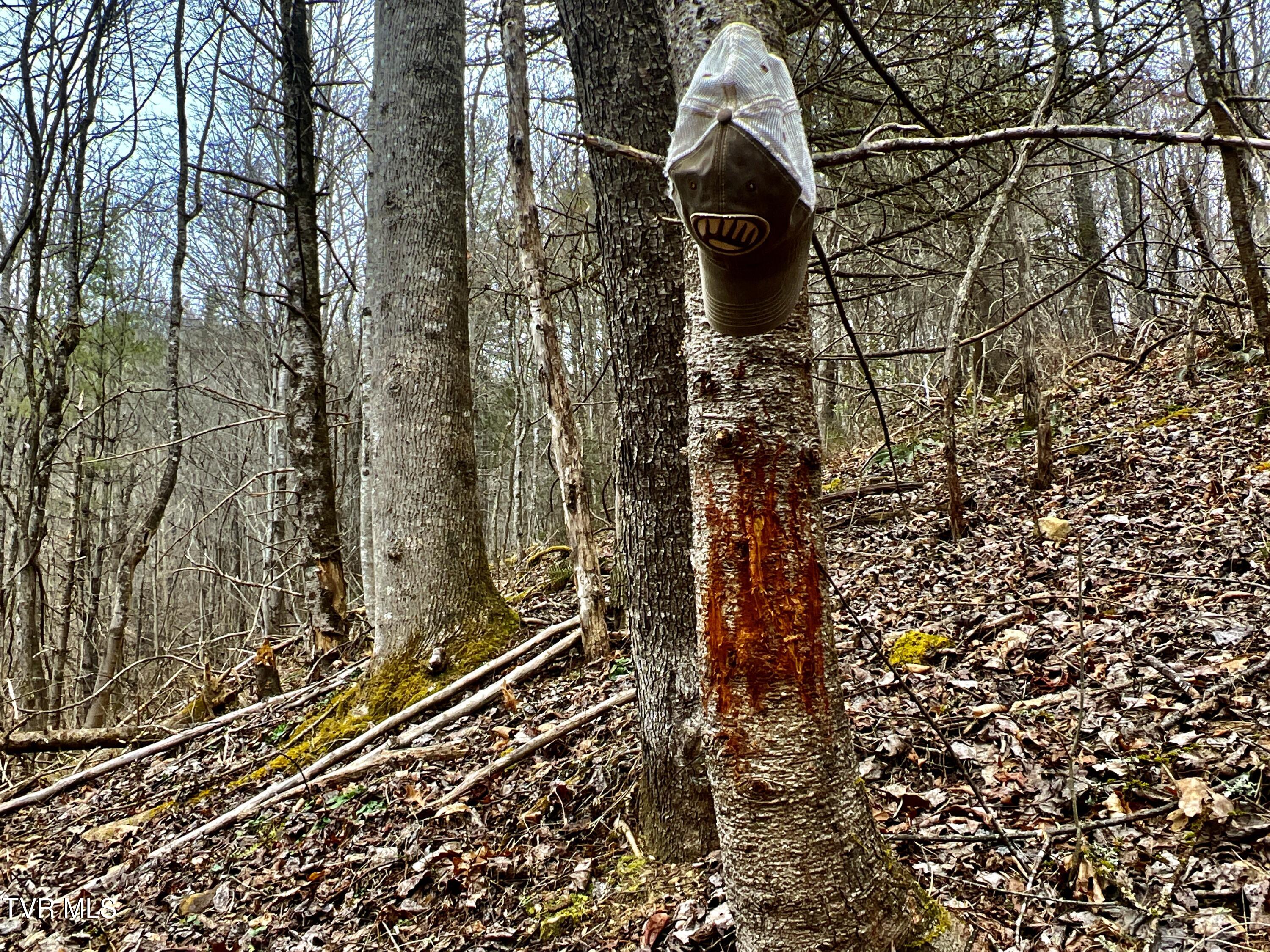 104ac Tbd Fire Tower Road, Mountain City, Tennessee image 19